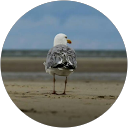 Profilbild von „Angela Hoehne“